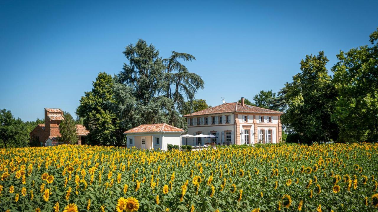 Chambre D'Hotes Et Table D'Hotes Domaine De La Terrasse Sas Et Gite Anda Montauban Lacourt-Saint-Pierre エクステリア 写真